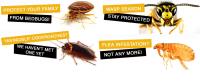 Domestic Pest Control Ballarat image 3